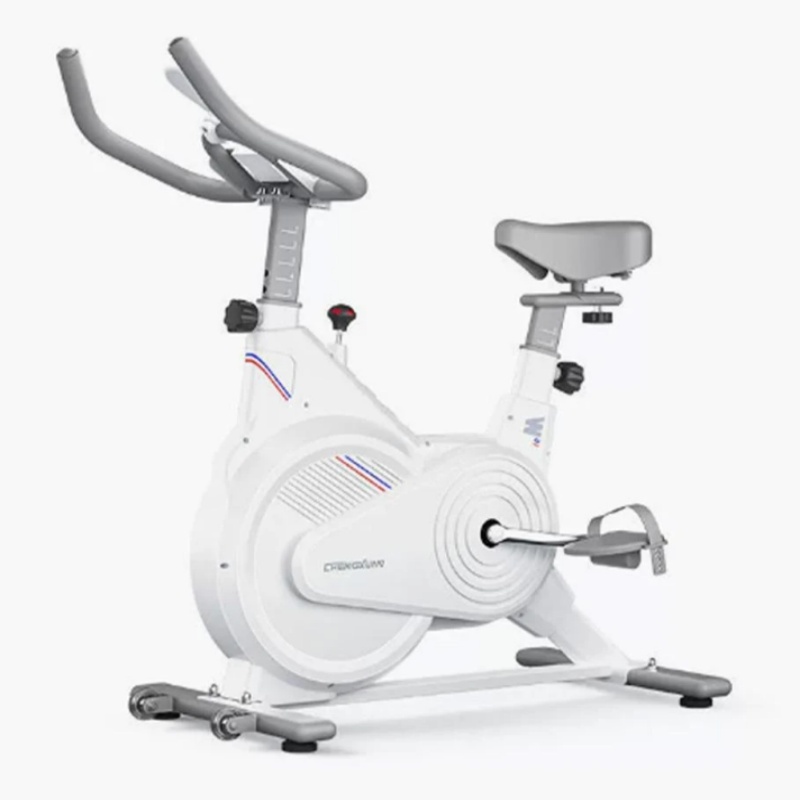 Vélo de spinning d'intérieur,  - Exercise Bike Magnetic Resistance avis et prix